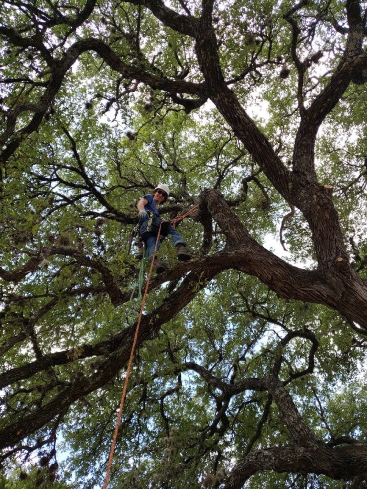Andrew Anstrom & Austin McCoy, founders of Tree Amigos