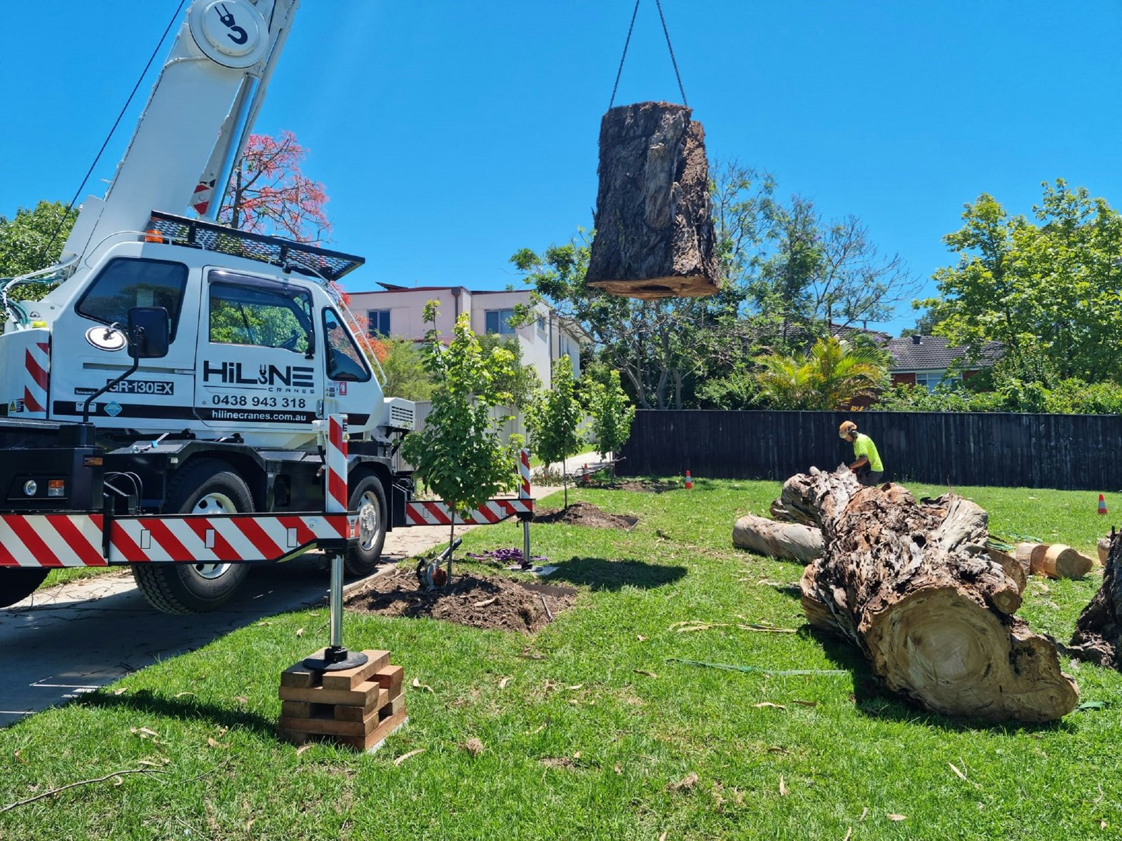 Tree removal